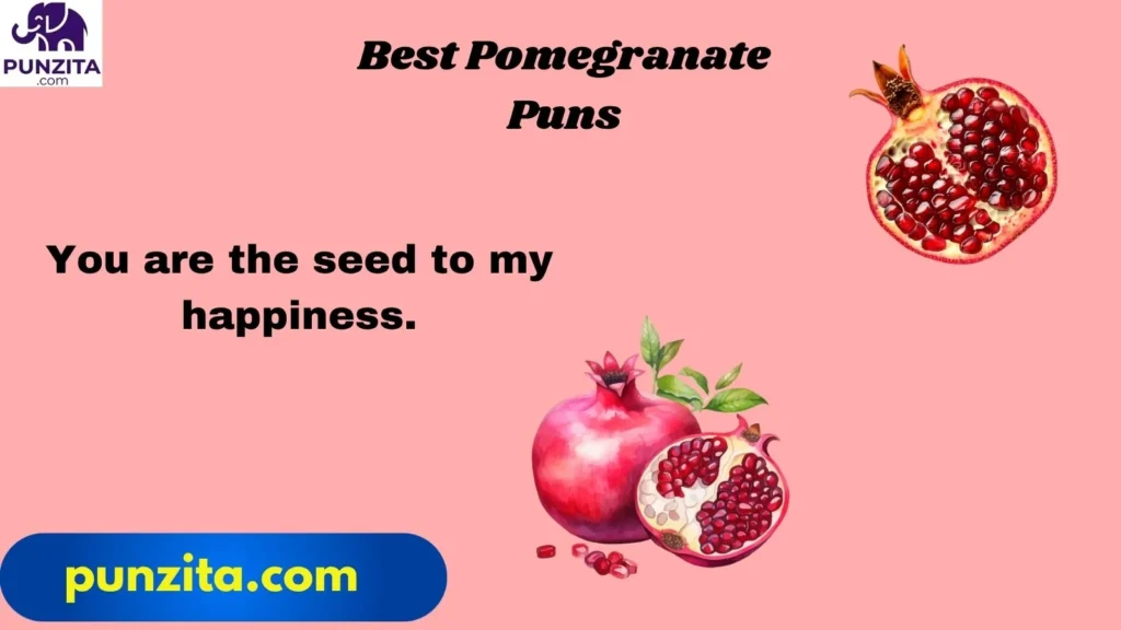 Best Pomegranate Puns