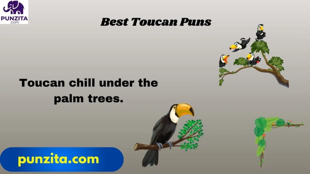 Best Toucan Puns