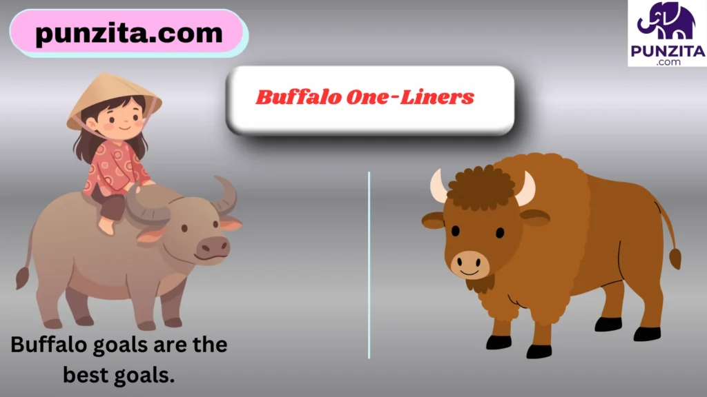 Buffalo One-Liners