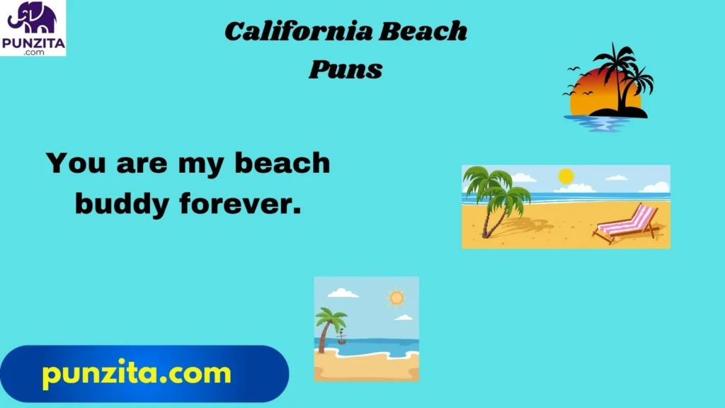 California Beach Puns