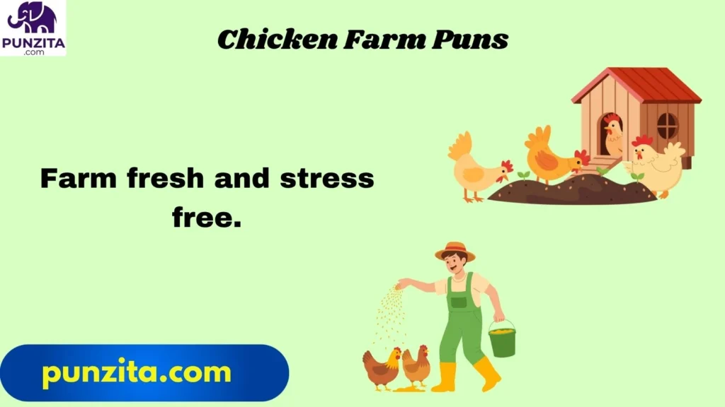 Chicken Farm Puns