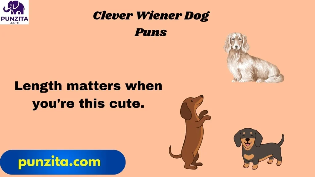 Clever Wiener Dog Puns