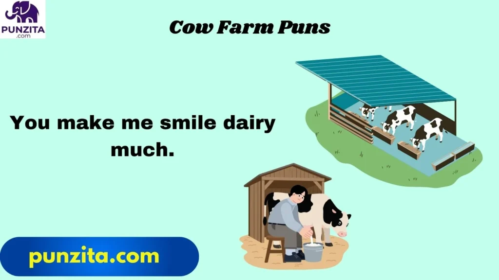 Cow Farm Puns