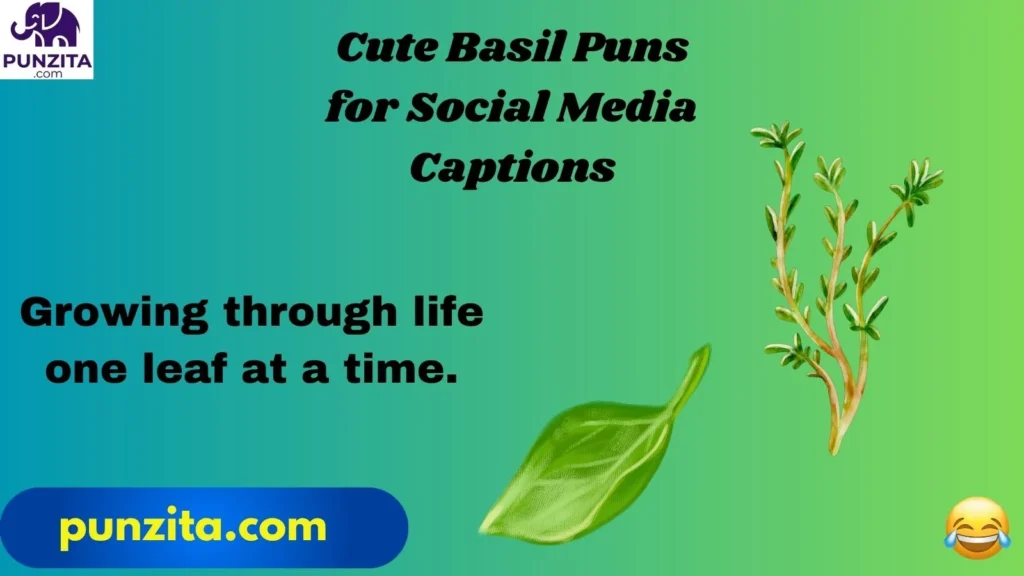Cute Basil Puns for Social Media Captions