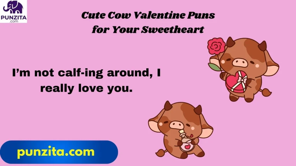 Cute Cow Valentine Puns for Your Sweetheart
