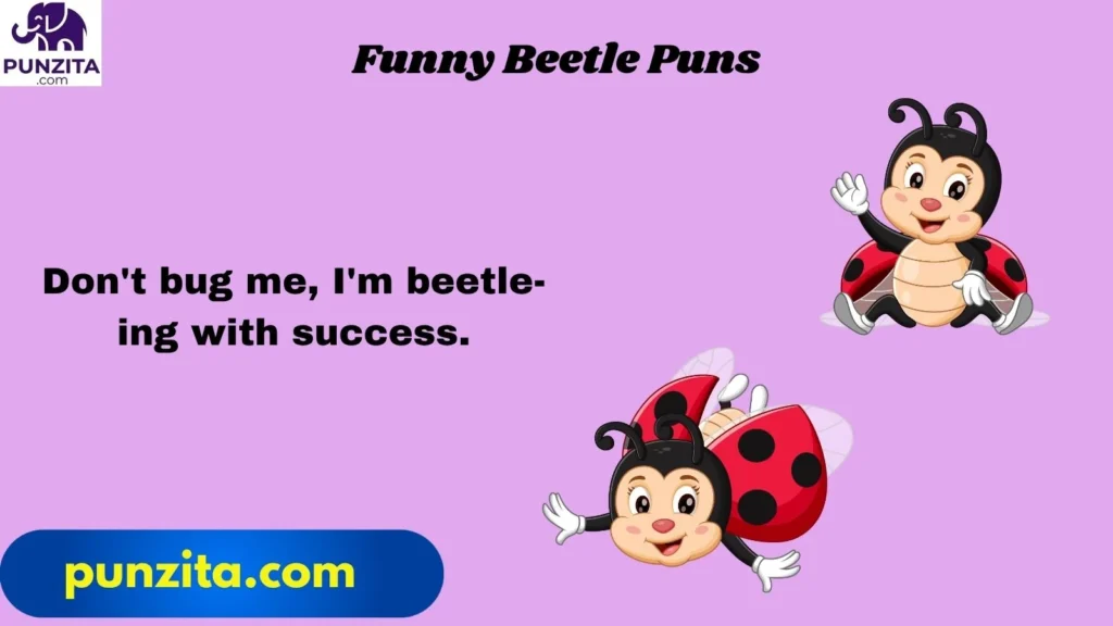 Funny Beetle Puns