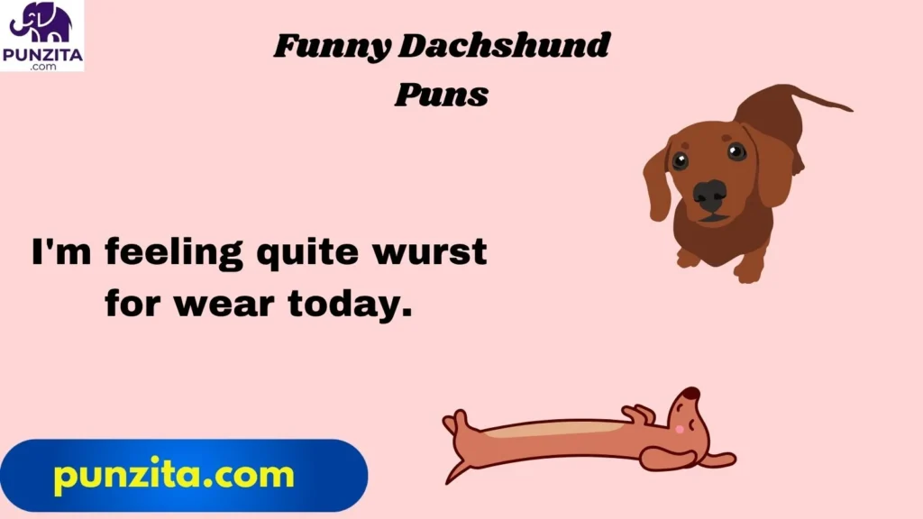 Funny Dachshund Puns
