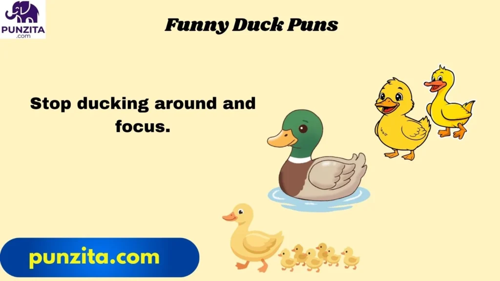 Funny Duck Puns