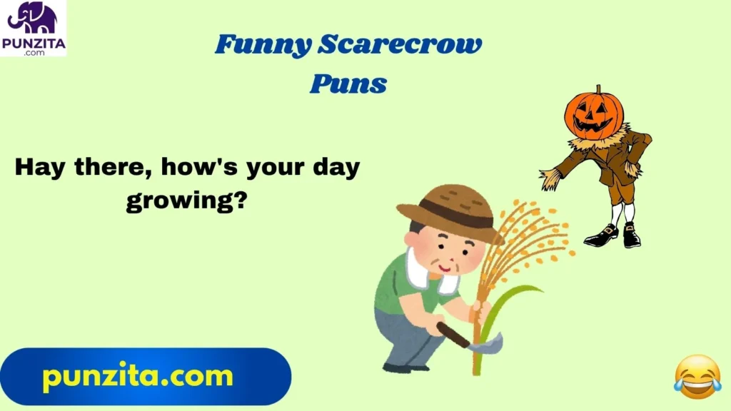 Funny Scarecrow Puns