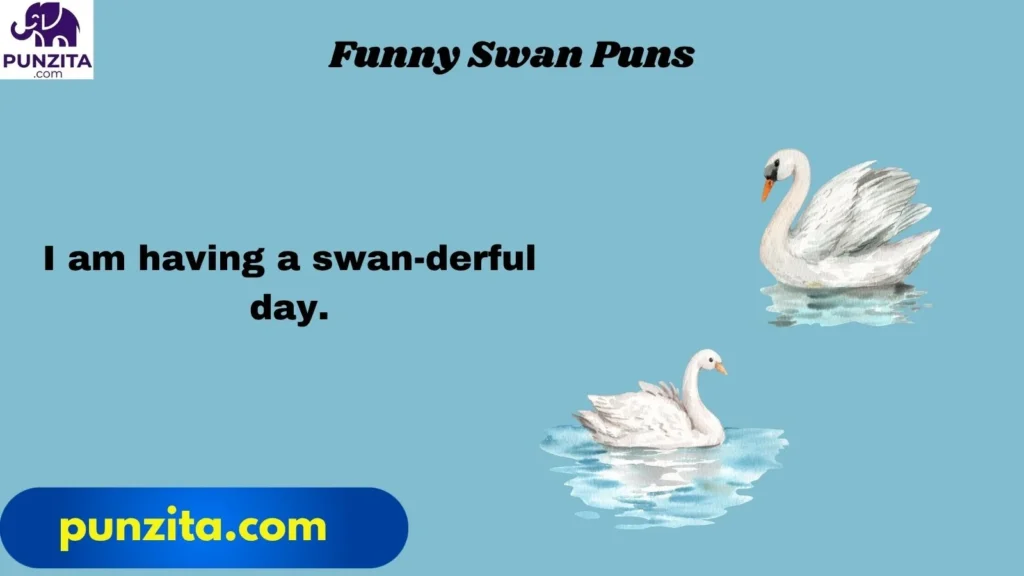 Funny Swan Puns