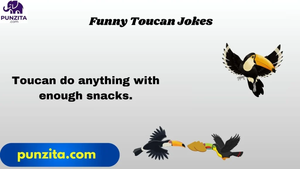 Funny Toucan Jokes