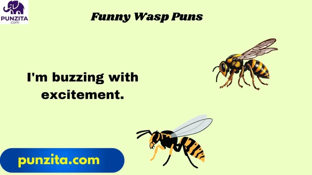 Funny Wasp Puns