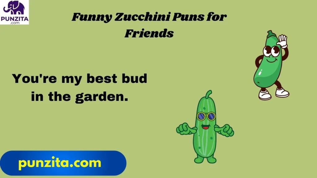 Funny Zucchini Puns for Friends