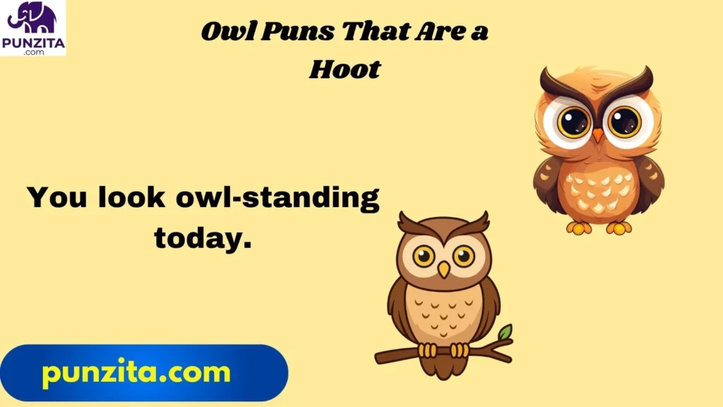 Owl Puns That Are a Hoot