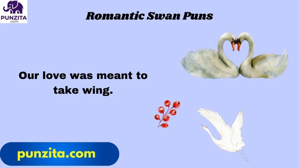 Romantic Swan Puns