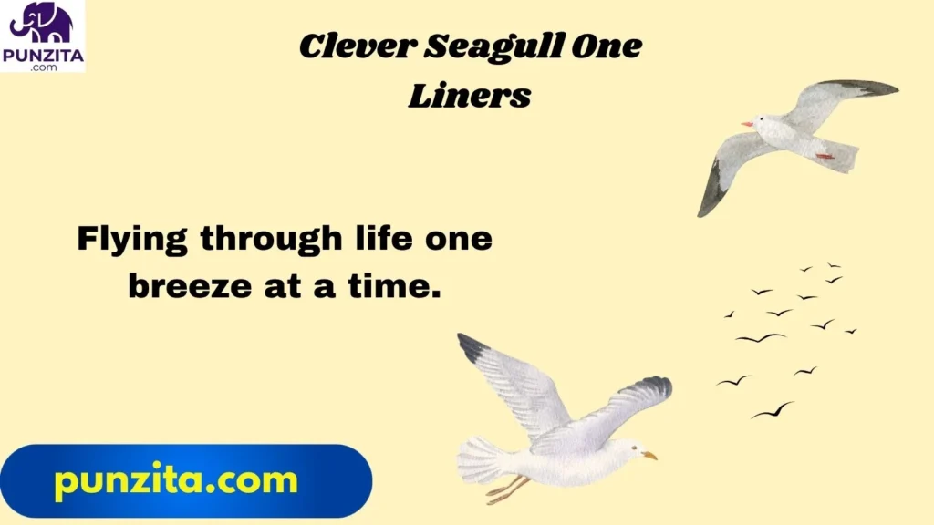clever seagull one liners