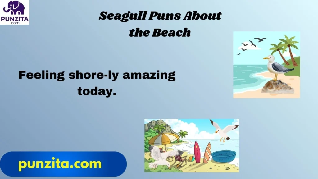 seagull puns-about the beach