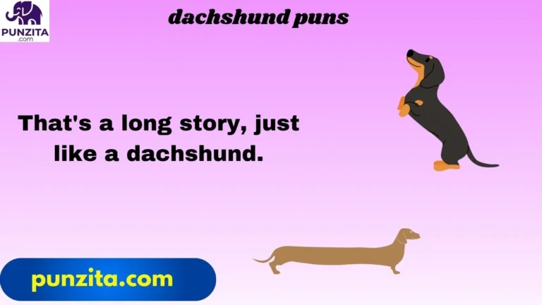 dachshund puns