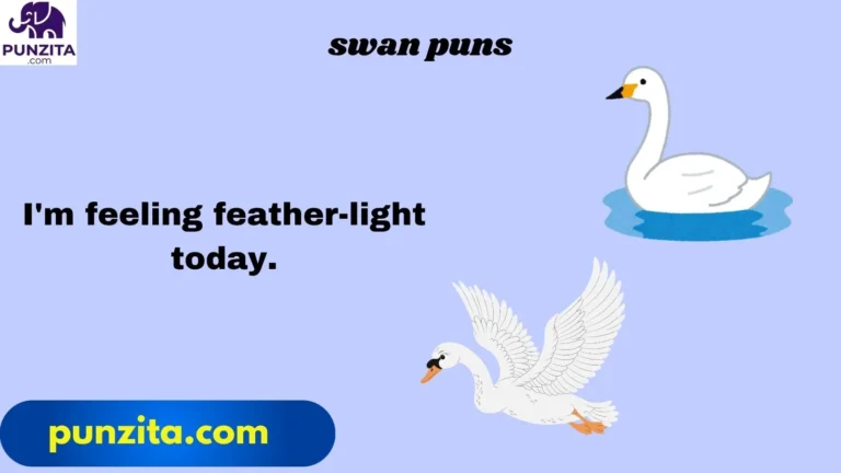swan puns