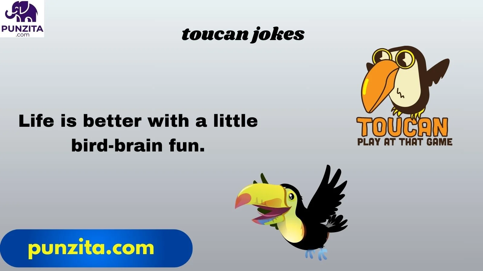 toucan jokes