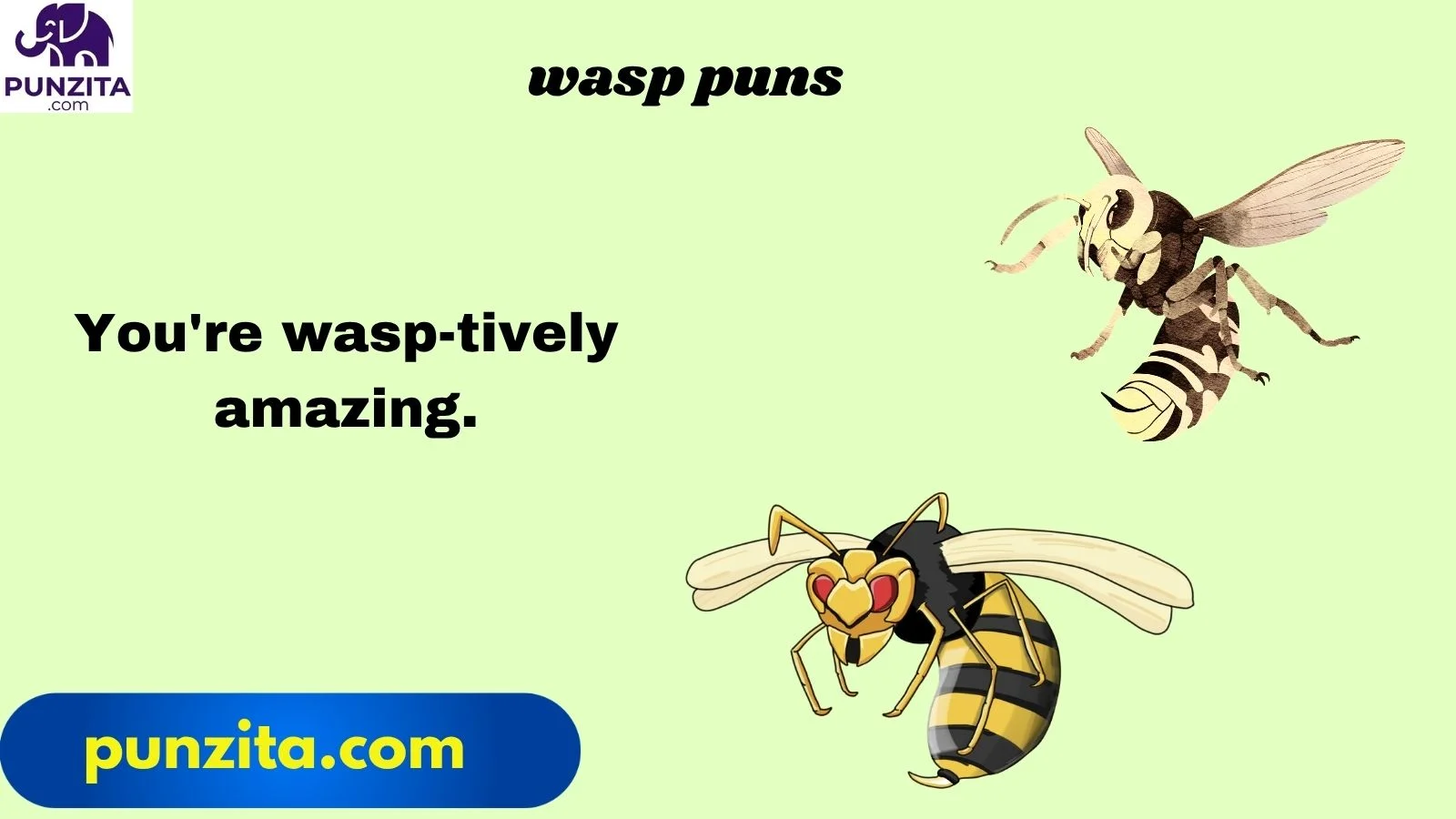 wasp puns