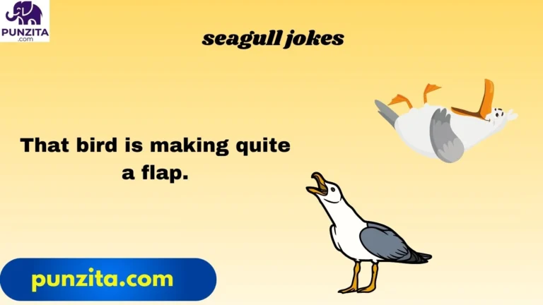 seagull jokes